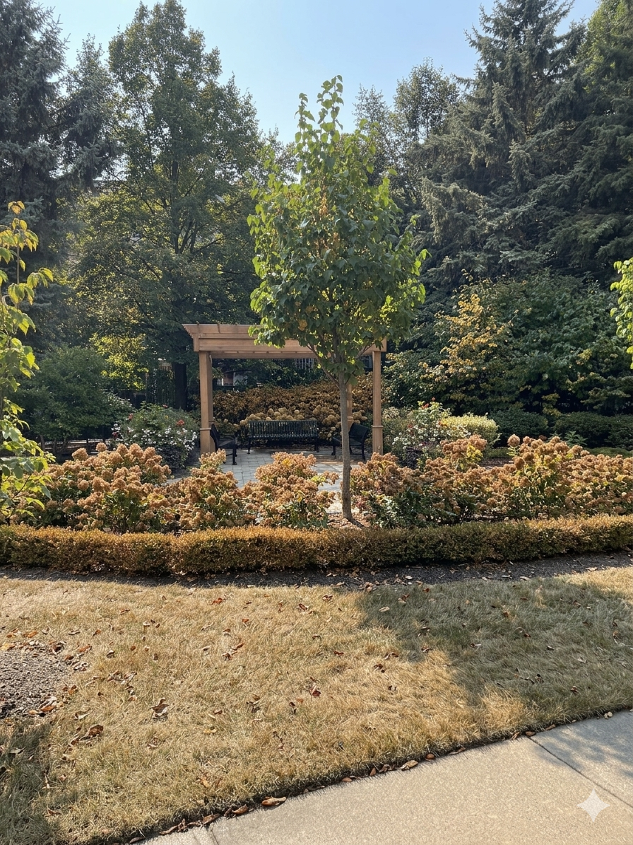 After irrigation green lawn